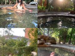 -漳州佰翔圆山酒店·圆山畔西餐厅