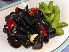 鲜椒小木耳-松沪名灶·豆浆鱼头·新上海菜(飞航吾悦广场店)