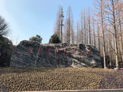 -东平国家森林公园