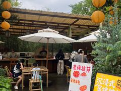 -白鹭湾湿地公园
