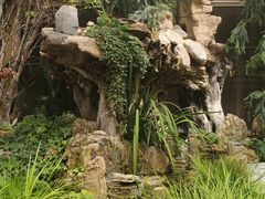 -石家庄市植物园