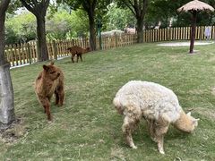 -成都欢乐谷