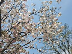 -杭州野生动物世界