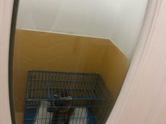 -美联众合动物医院(·中兽医·疑难杂症·严家桥分院)