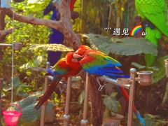 -曼听御花园