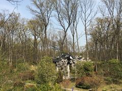 -南京东郊国宾馆