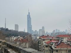 -紫峰大厦