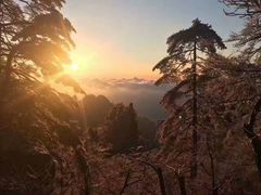 -塔川景区