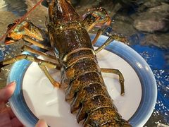 -亚马逊蒸汽活海鲜自助(LCM置汇旭辉广场店)
