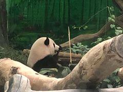-灵玲国际马戏城