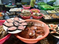 鳗鱼-老三鱼仔店