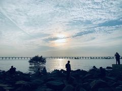 -宝安西湾红树林湿地公园