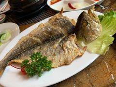 烤黄花鱼-高丽馆(尊茂店)