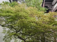 -常熟方塔园