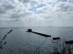 -贡湖湾湿地公园