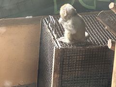 -石家庄市动物园