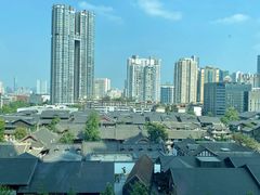 -成都尼依格罗酒店