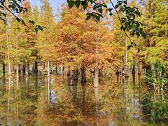 -白鹭湾湿地公园