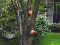 -云南滇池花园国际大酒店温泉