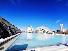 -瓦伦西亚大教堂