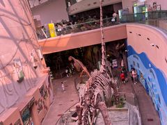 -陕西自然博物馆