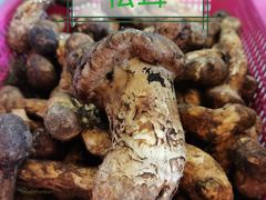 -野生菌火锅(菌王村店)