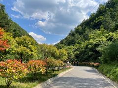 -陕西省红河谷森林公园