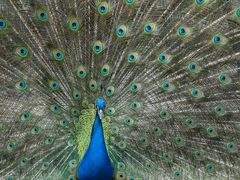 -黔灵山公园-南门售票处