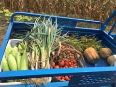 黑森林蛋糕-哈根达斯(烟台振华店)