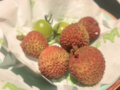 -季季山·云南野生菌火锅(上海首店)