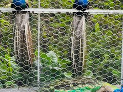 -福建鲤鱼洲酒店