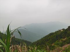 -梧桐山风景名胜区