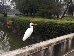 -名古屋城