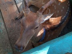 -华谊兄弟（长沙）电影小镇