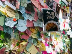 -大王油茶(二厂文创公园店)
