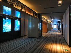 -博纳国际影城IMAX(中央大道店)