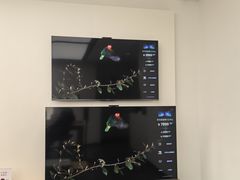 -华为授权体验店(近铁城市广场)