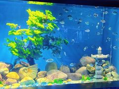 -锦艺城海洋馆
