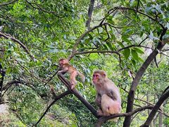 -黔灵山公园-南门售票处