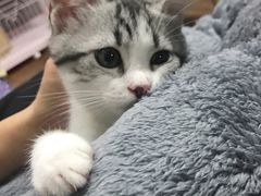 -四宜糕团店(南大街店)