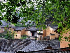 -杨家堂村