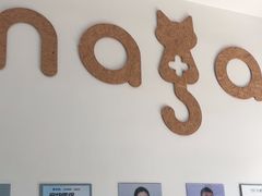 -纳吉亚猫专科动物医院·北北分院