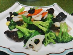 -吴忠民族饭庄(利通南街店)