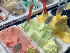红番石榴-柠檬车露(卖草地店)