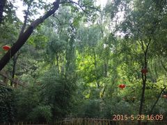 -沕沕水生态风景区