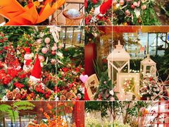 -二酉书店TOYOU BOOKS