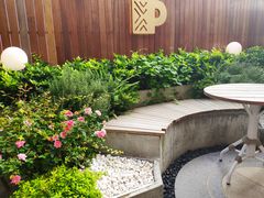 -Peet's Coffee皮爷咖啡(大学路店)