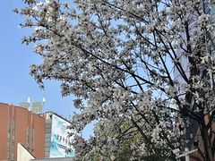 -查令84号咖啡馆(金大地1912东西街店)