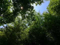 -观唐（国际）度假村温泉