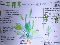 -上海昆虫博物馆